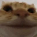 aauronz