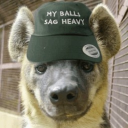 avatar shimoda ♫⃠