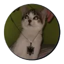 ggx_bs