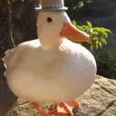 duck.54 avatar
