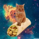 .punchee. avatar