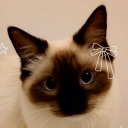 avatar 名取 !! ~ ✮