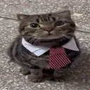 kevin020