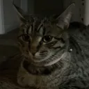 kevin020