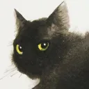midona