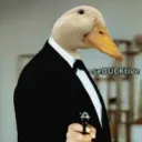 Duck's Avatar