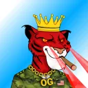 dr__karma
