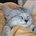 grumpyKitty avatar