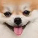 evvfn