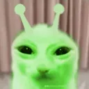 papu2959 avatar