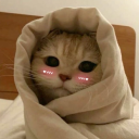 avatar cacamarica🦋