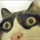 Аватар .rik450