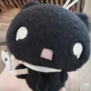 drouusi