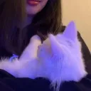 .gabrii3l