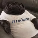 lucho_lamb.1