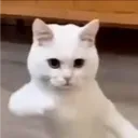 loganthelogy
