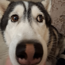 avatar SergeyKamensk