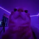 NO-WAY_7789