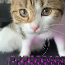 za0ka