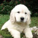 xdbuzzly_
