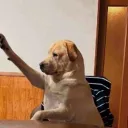 mrcleanmrbeanlookingahh avatar