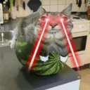 Аватар tvorog1