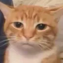 nuggyzyt
