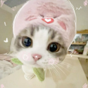 avatar mae ‧₊˚✩彡