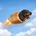 schokievr