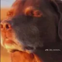 toocxmp_