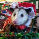avatar CHRISTMAS OPOSSUM