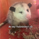 avatar HEARTS DAY OPOSSUM