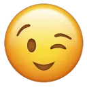 finsub