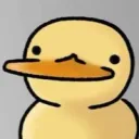 duck1455