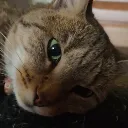 phantomsdust779 avatar