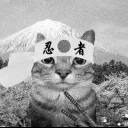 catgravitii