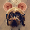 Official portrait of Rep. Kosher