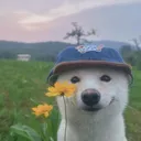 moodevv