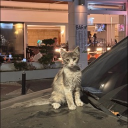 avatar what is real will prosper