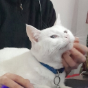 avatar ! Franzoᶻ 𝗓 𐰁