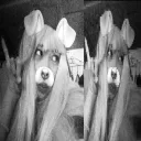 xxixia.ent