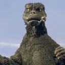 brudermusslos63736373673 avatar