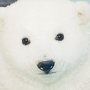 crimson_world_snow798's Avatar