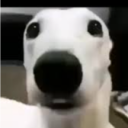 avatar Fesszache