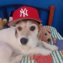 Avatar de samicolocolo127