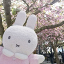 avatar mfstargirl✩