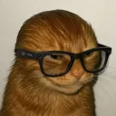 jarjarmadeit