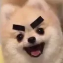 tansann.