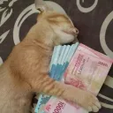 rajaaditya21