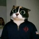 avatar Консерва